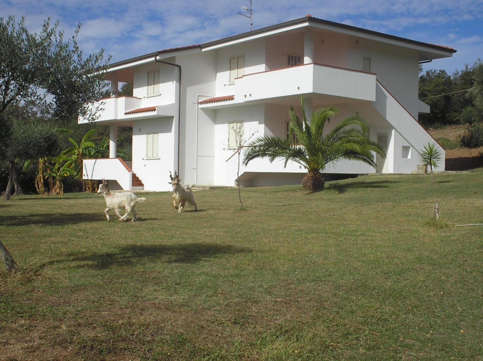 קאפו ואטיצ'אנו Agriturismo Seaview מראה חיצוני תמונה